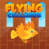 flying challenge