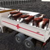 truck transport domestic animals